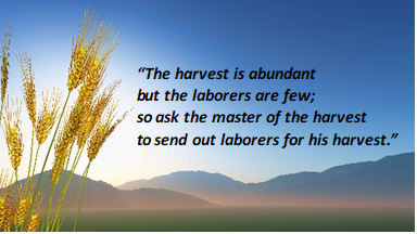 Harvest En